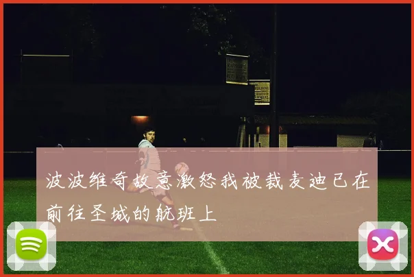波波维奇故意激怒我被裁麦迪已在前往圣城的航班上