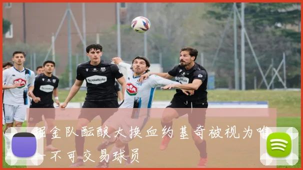 掘金队酝酿大换血约基奇被视为唯一不可交易球员