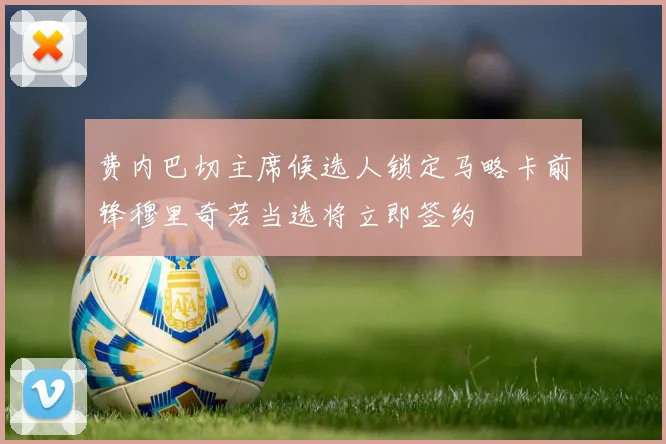 费内巴切主席候选人锁定马略卡前锋穆里奇若当选将立即签约